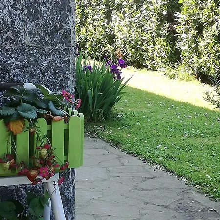 La Damigiana Fioi Piano di Follo