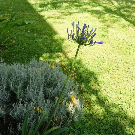 La Damigiana Fioi Piano di Follo