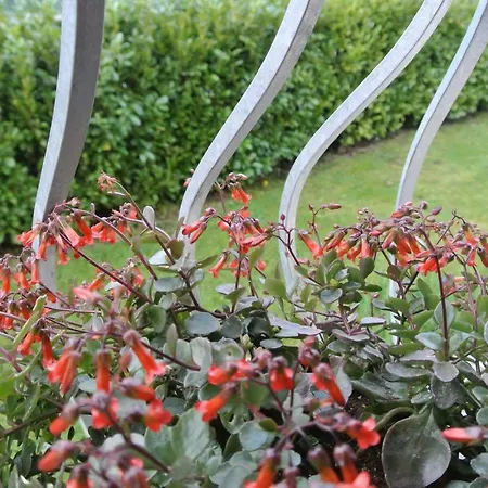 Bed & Breakfast La Damigiana Fioi Piano di Follo