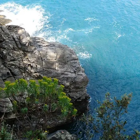 Bed & Breakfast La Damigiana Fioi
