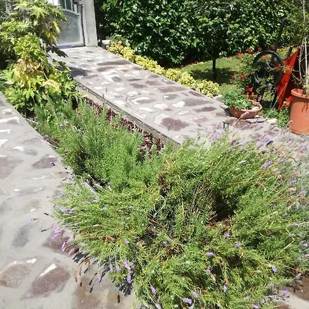 La Damigiana Fioi