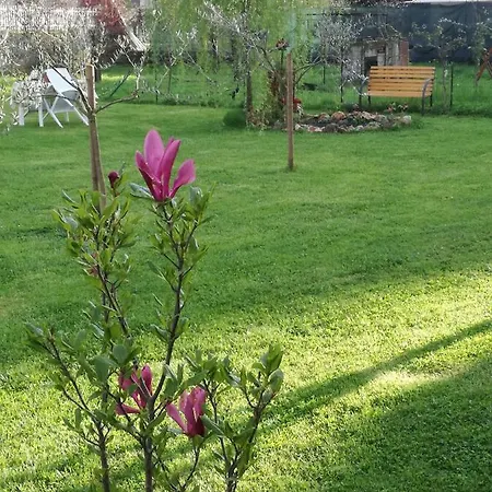 La Damigiana Fioi Bed and breakfast Piano di Follo