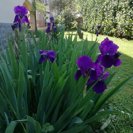 Bed and breakfast La Damigiana Fioi *
