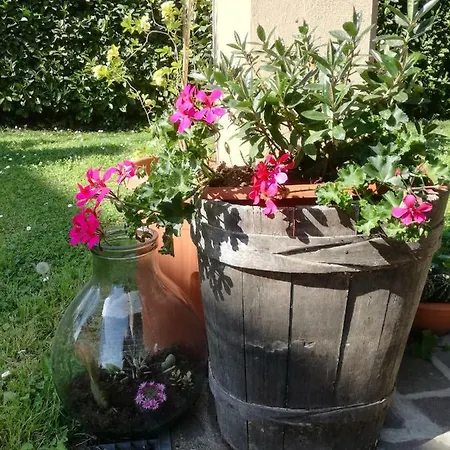La Damigiana Fioi Piano di Follo