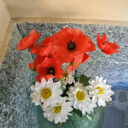 La Damigiana Fioi Bed and breakfast Piano di Follo